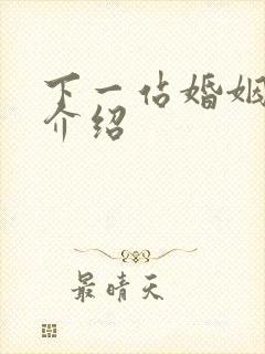 下一站婚姻剧情介绍