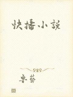 快播小说