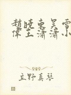 赵晓东吴雪晴郑伟王潇潇小说