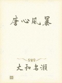 唐心风暴