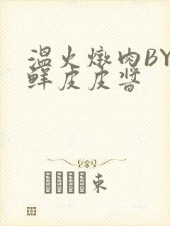 温火炖肉BY海鲜皮皮酱