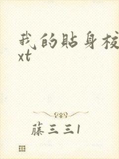 我的贴身校花txt