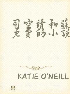 司空靖和苏月汐免费的小说笔趣阁封面