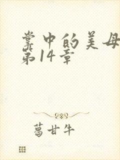 掌中的美母版主第14章