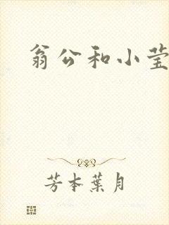 翁公和小莹