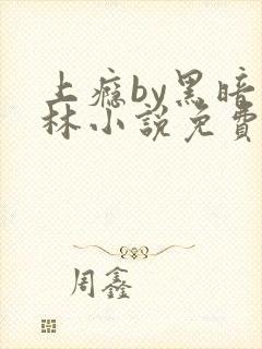 上瘾by黑暗森林小说免费