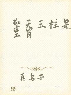 擎天玉柱是什么生肖