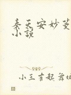 秦天安妙菱修仙小说