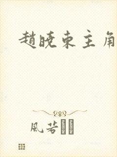 赵晓东主角小说