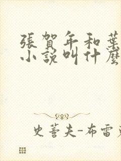 张贺年和叶繁姿小说叫什么名字