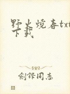 野火烧春txt下载