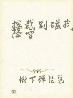 总裁别碰我 韩降雪