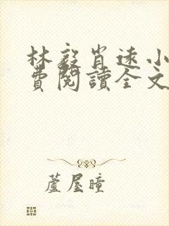 林毅肖远小说免费阅读全文最新章节