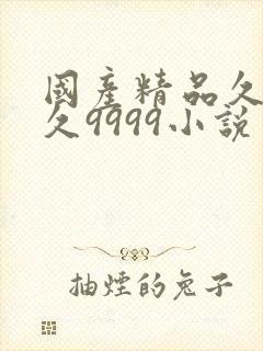 国产精品久久久久9999小说