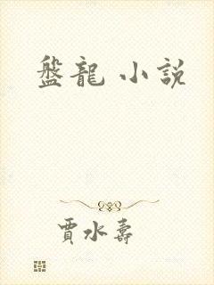 盘龙 小说