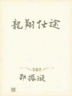 龙翔仕途