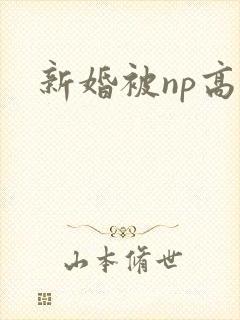 新婚被np高h