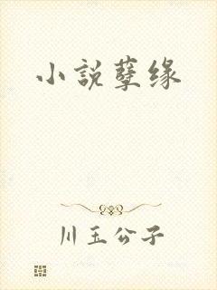 小说孽缘
