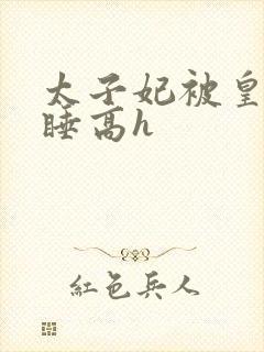 太子妃被皇上强睡高h