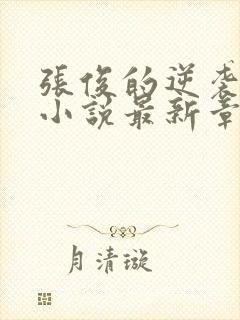 张俊的逆袭之路小说最新章节