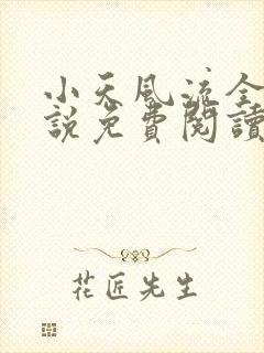 小天风流全集小说免费阅读