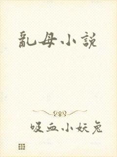 乱母小说