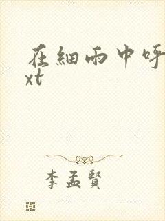 在细雨中呼喊txt