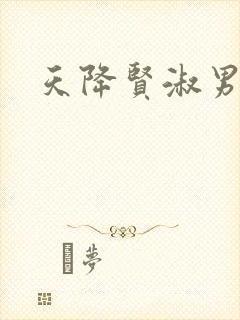 天降贤淑男小说