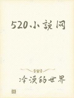 520小说网
