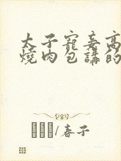 太子宠妾高肉红烧肉包讲的什么