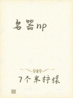 名器np