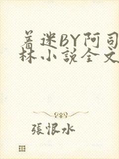 着迷BY阿司匹林小说全文免费阅读