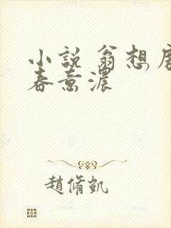 《小说 翁想房中春意浓》小说封面