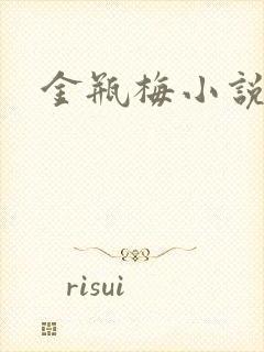 金瓶梅小说下载