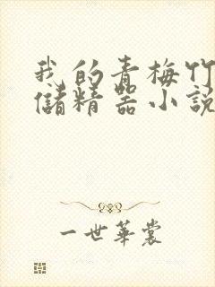 我的青梅竹马是储精器小说