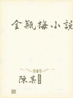 金瓶梅小说下载