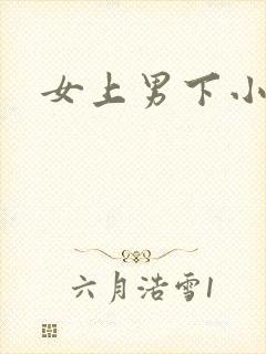 女上男下小说