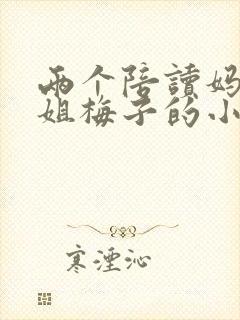 两个陪读妈妈赵姐梅子的小说