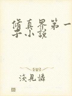 修真界第一病秧子小说