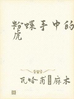 粉蝶手中的纸老虎