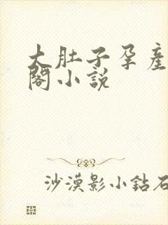 大肚子孕产笔趣阁小说