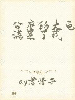 公么的大龟强大满足了我