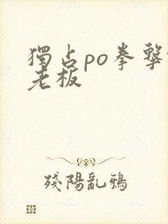 独占po拳击馆老板