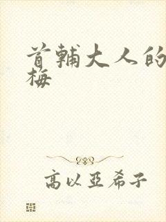 首辅大人的小青梅