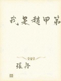 我是赵甲第小说