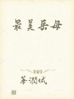 《最美岳母》小说封面