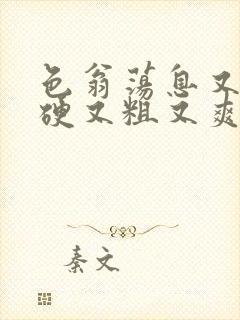 色翁荡息又大又硬又粗又爽小莹