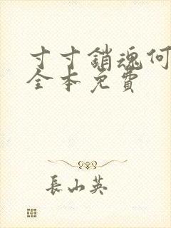 寸寸销魂何生祥全本免费