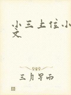 小三上位小说全文封面