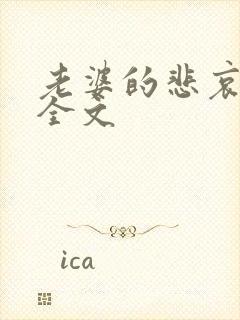 老婆的悲哀小说全文